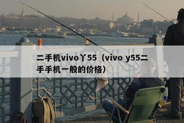 二手机vivo丫55（vivo y55二手手机一般的价格）