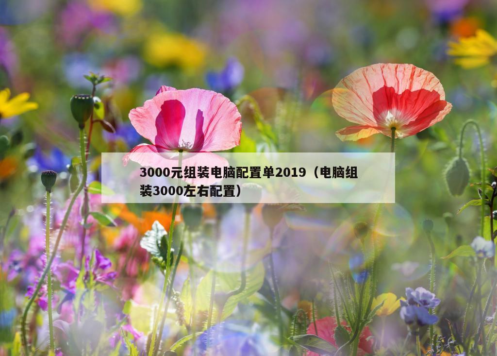 3000元组装电脑配置单2019（电脑组装3000左右配置）