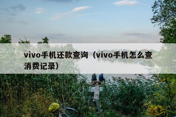 vivo手机还款查询（vivo手机怎么查消费记录）