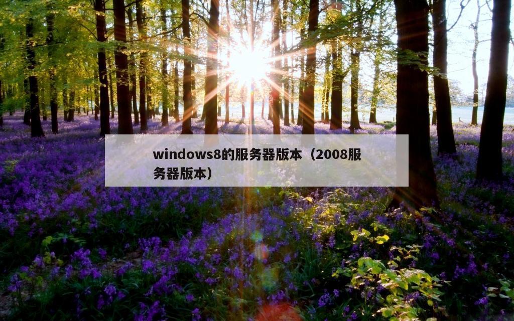 windows8的服务器版本（2008服务器版本）