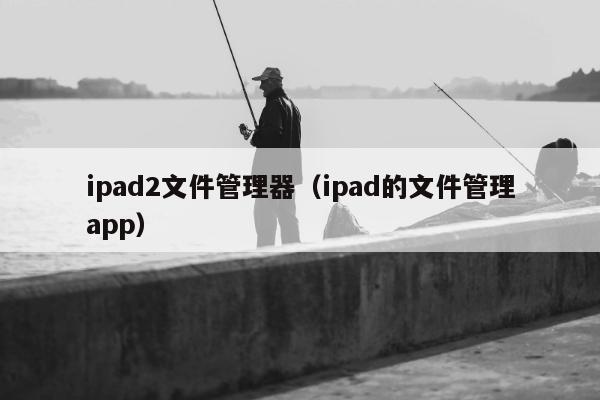 ipad2文件管理器（ipad的文件管理app）