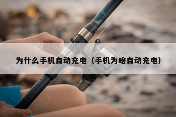 为什么手机自动充电（手机为啥自动充电）