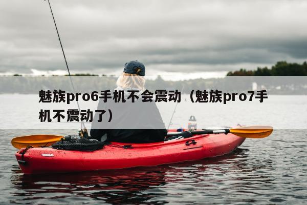 魅族pro6手机不会震动（魅族pro7手机不震动了）