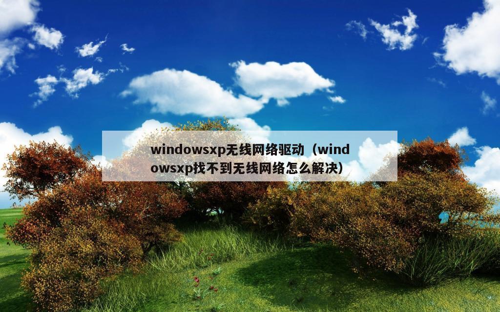 windowsxp无线网络驱动（windowsxp找不到无线网络怎么解决）