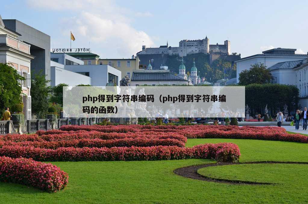 php得到字符串编码（php得到字符串编码的函数）