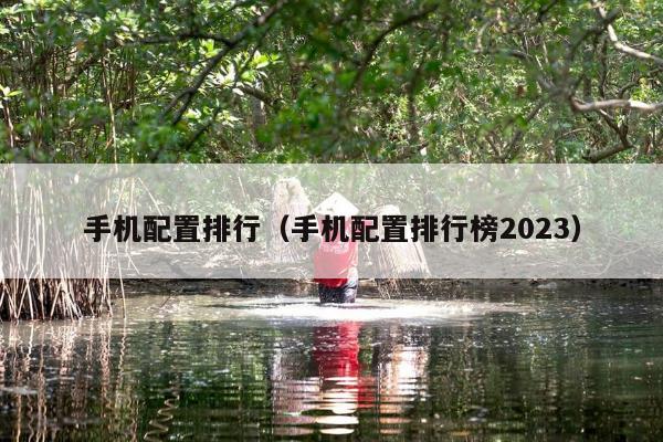 手机配置排行（手机配置排行榜2023）