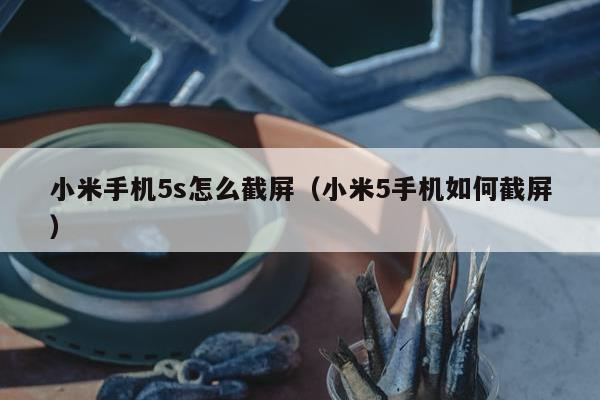 小米手机5s怎么截屏（小米5手机如何截屏）