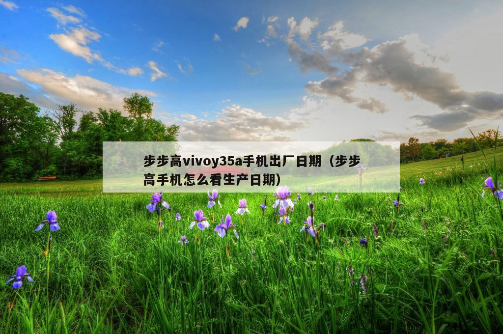 步步高vivoy35a手机出厂日期（步步高手机怎么看生产日期）