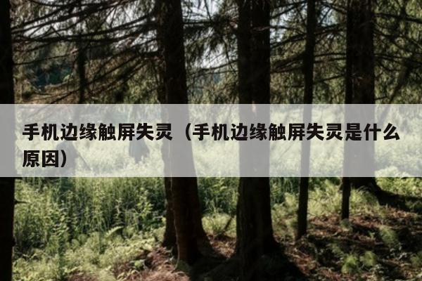 手机边缘触屏失灵（手机边缘触屏失灵是什么原因）