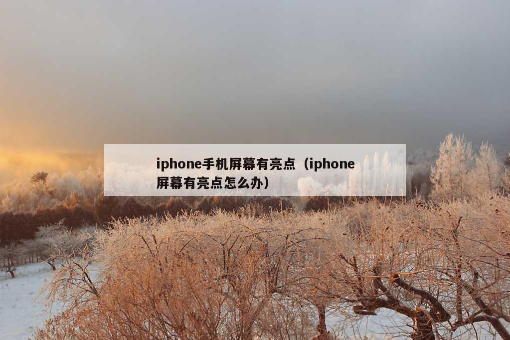 iphone手机屏幕有亮点（iphone屏幕有亮点怎么办）