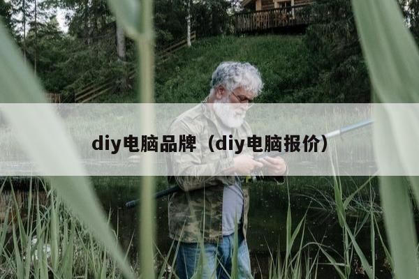 diy电脑品牌（diy电脑报价）