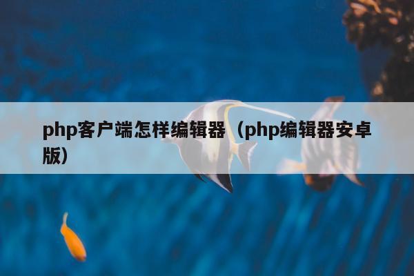 php客户端怎样编辑器（php编辑器安卓版）