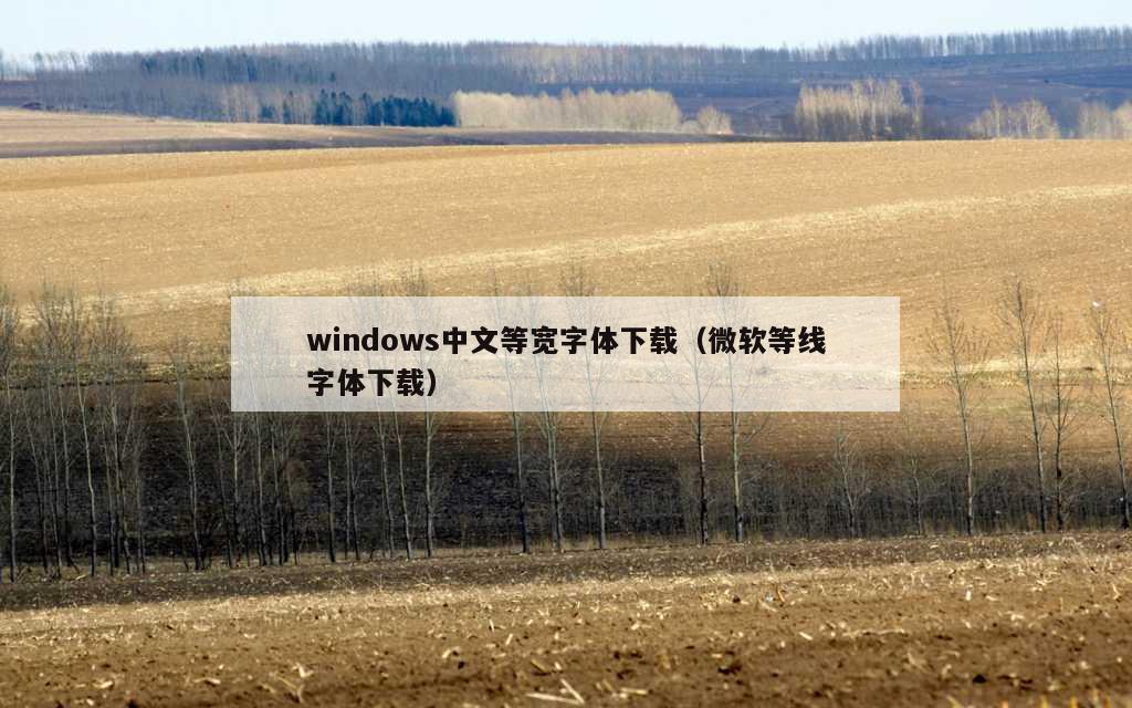 windows中文等宽字体下载（微软等线字体下载）