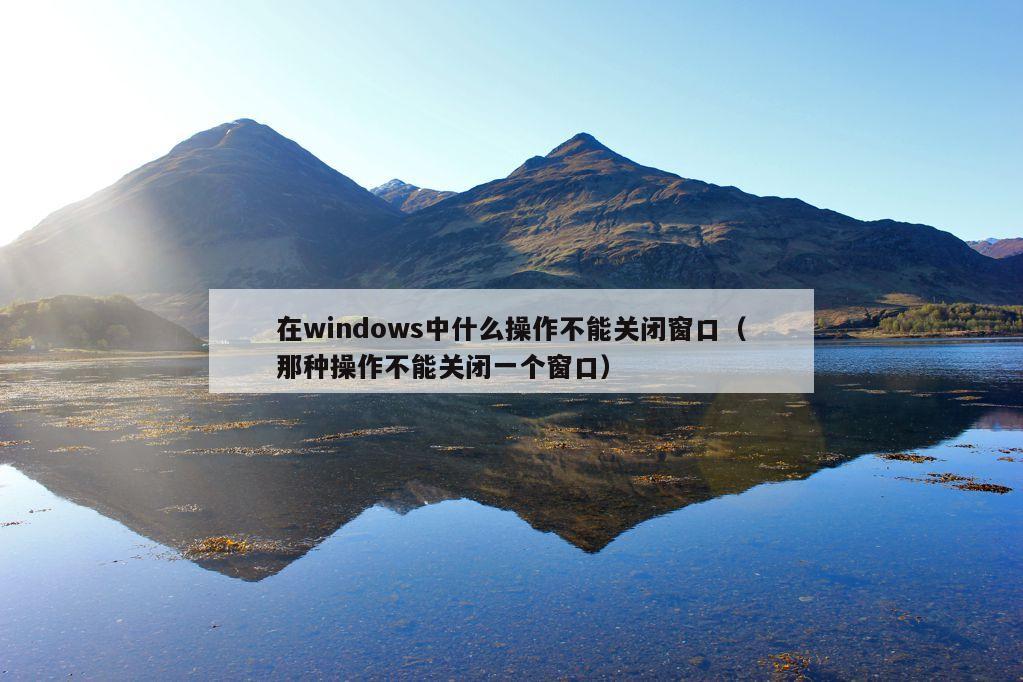 在windows中什么操作不能关闭窗口（那种操作不能关闭一个窗口）