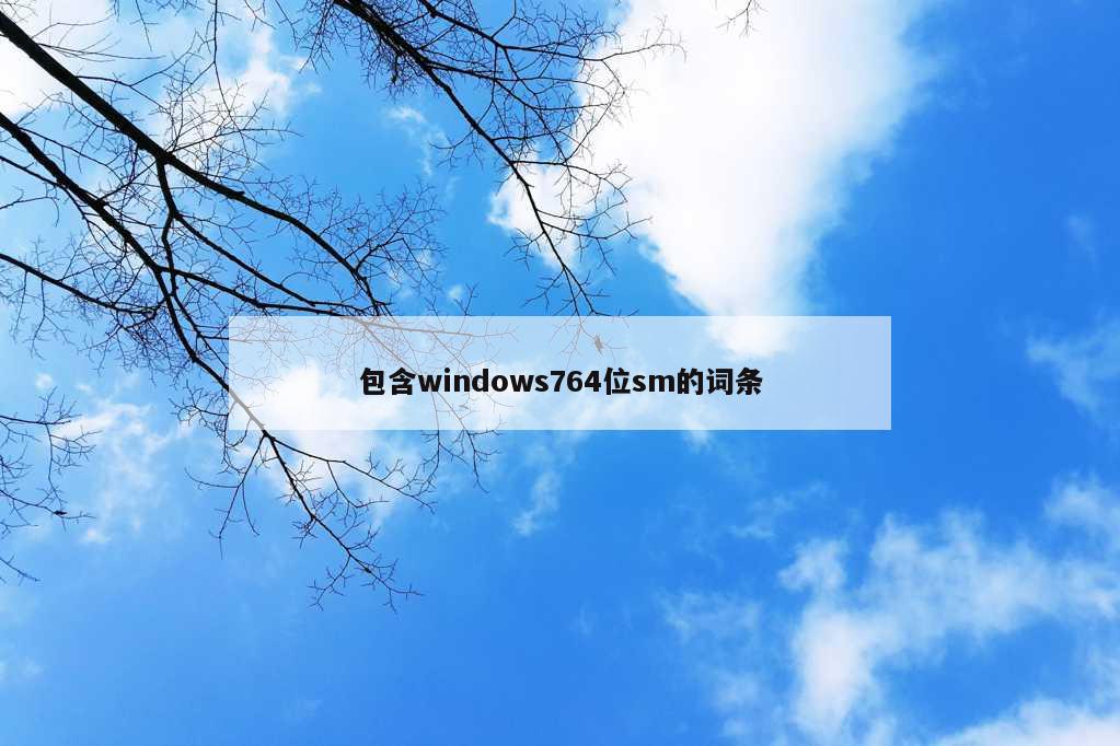 包含windows764位sm的词条