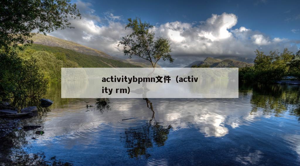 activitybpmn文件（activity rm）