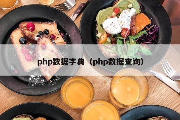 php数据字典（php数据查询）