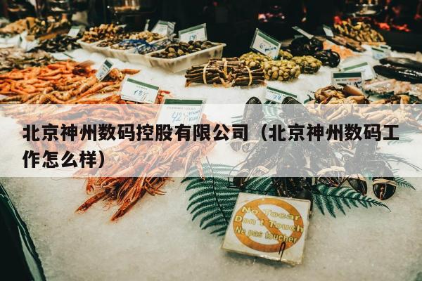 北京神州数码控股有限公司（北京神州数码工作怎么样）