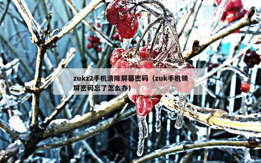 zukz2手机清除屏幕密码（zuk手机锁屏密码忘了怎么办）