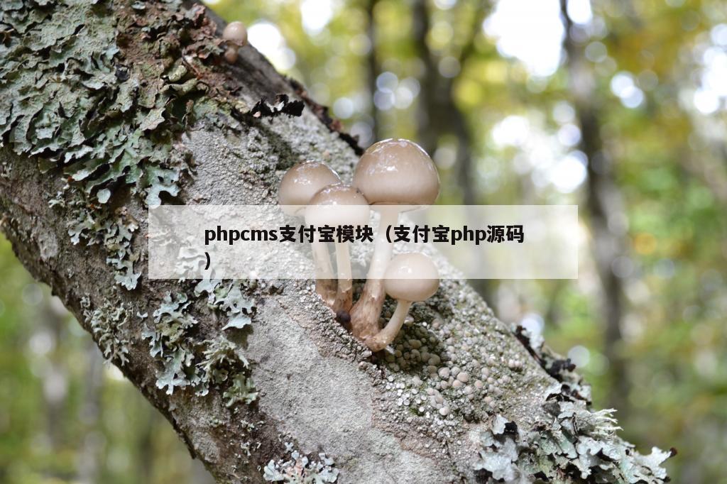 phpcms支付宝模块（支付宝php源码）