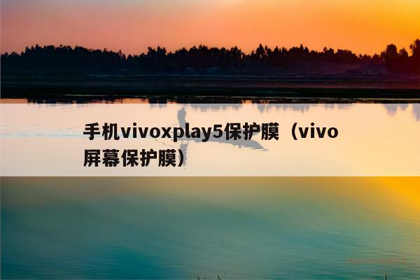 手机vivoxplay5保护膜（vivo屏幕保护膜）