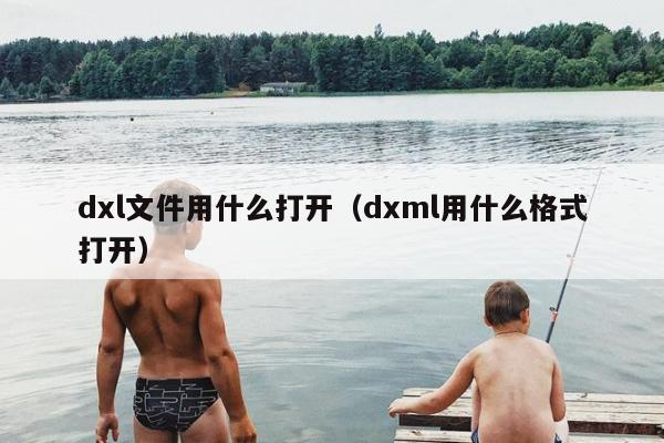 dxl文件用什么打开（dxml用什么格式打开）