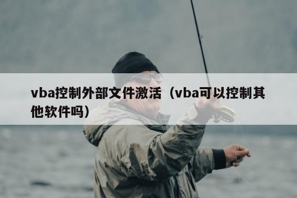 vba控制外部文件激活（vba可以控制其他软件吗）