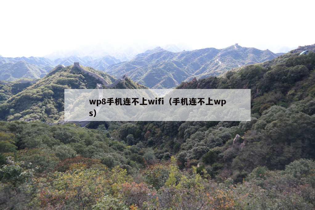 wp8手机连不上wifi（手机连不上wps）