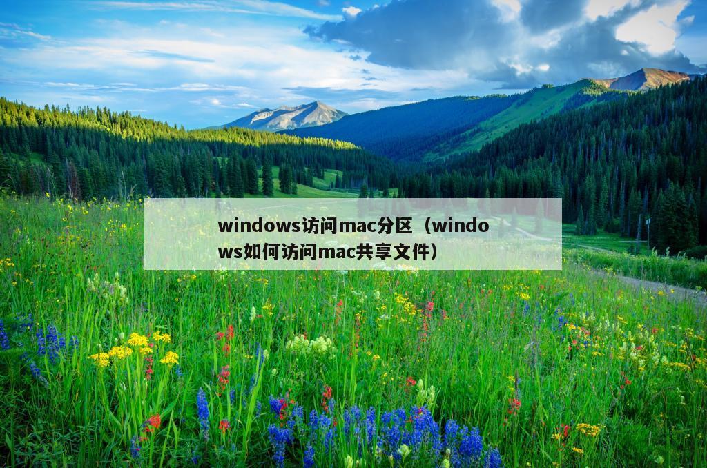 windows访问mac分区（windows如何访问mac共享文件）