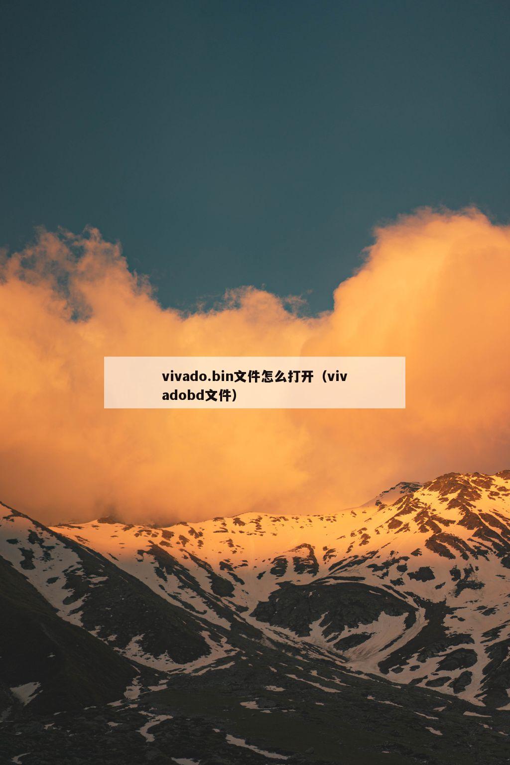 vivado.bin文件怎么打开（vivadobd文件）