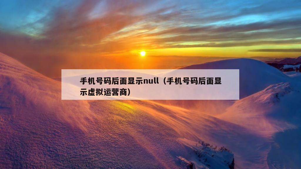 手机号码后面显示null（手机号码后面显示虚拟运营商）