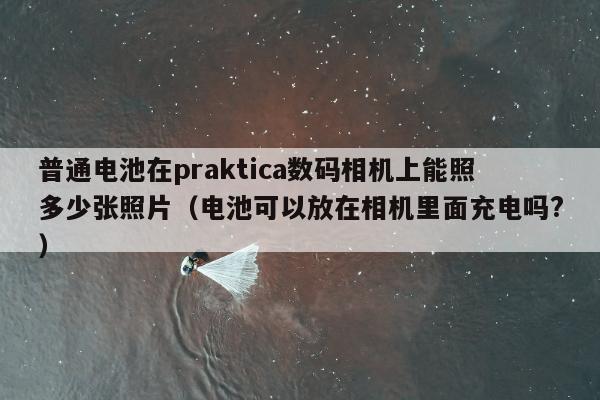 普通电池在praktica数码相机上能照多少张照片（电池可以放在相机里面充电吗?）