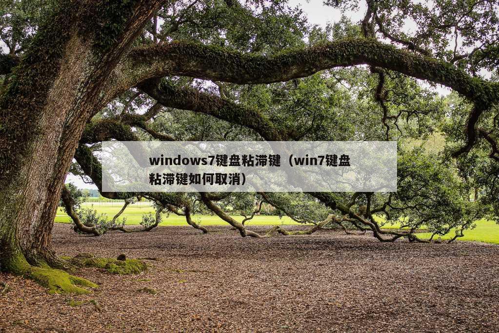 windows7键盘粘滞键（win7键盘粘滞键如何取消）