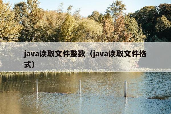 java读取文件整数（java读取文件格式）