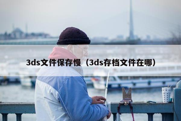 3ds文件保存慢（3ds存档文件在哪）