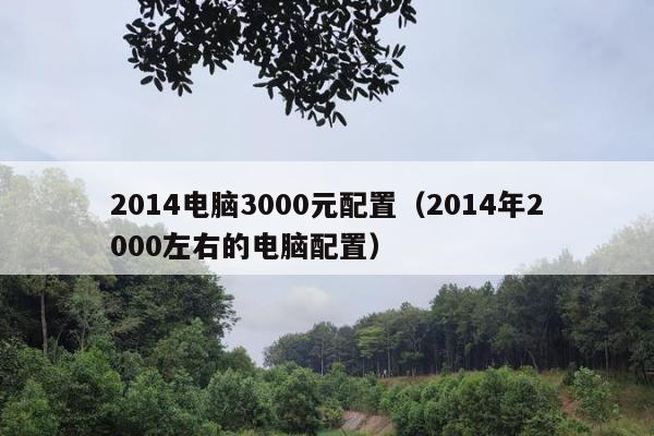 2014电脑3000元配置（2014年2000左右的电脑配置）