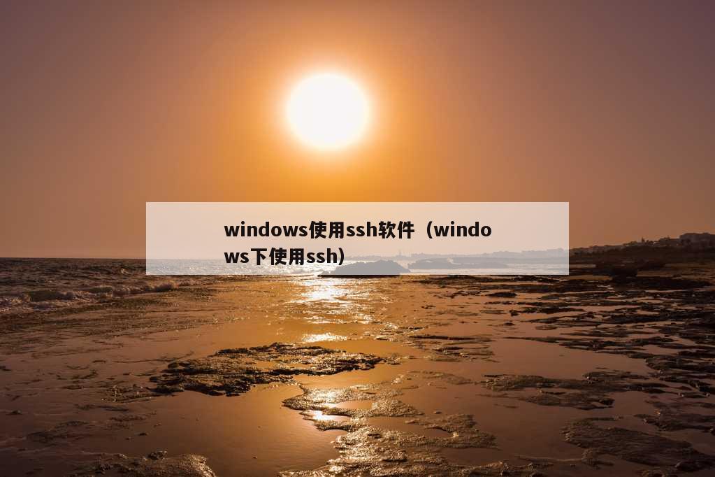 windows使用ssh软件（windows下使用ssh）