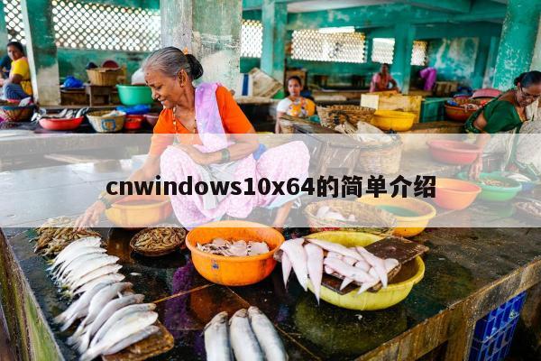 cnwindows10x64的简单介绍