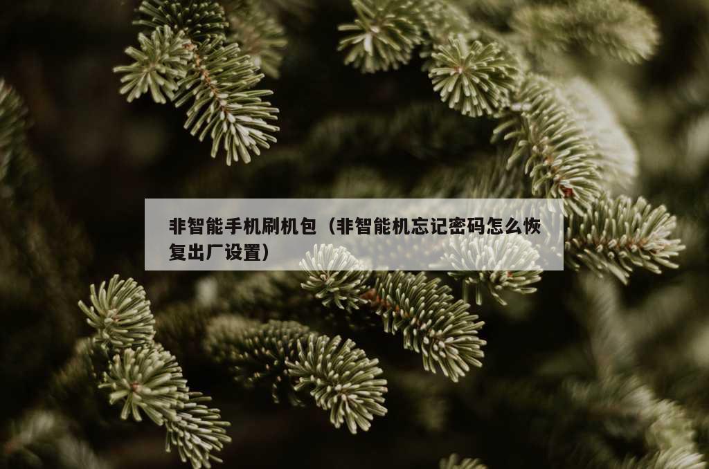 非智能手机刷机包（非智能机忘记密码怎么恢复出厂设置）