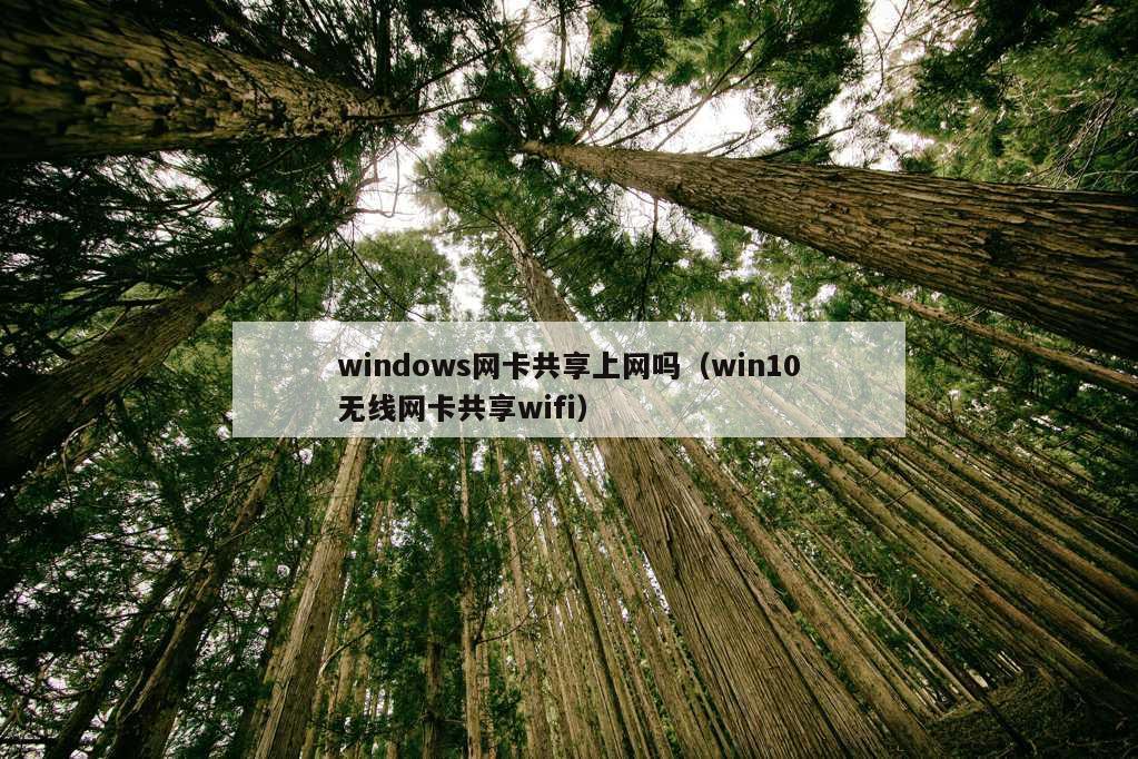 windows网卡共享上网吗（win10无线网卡共享wifi）