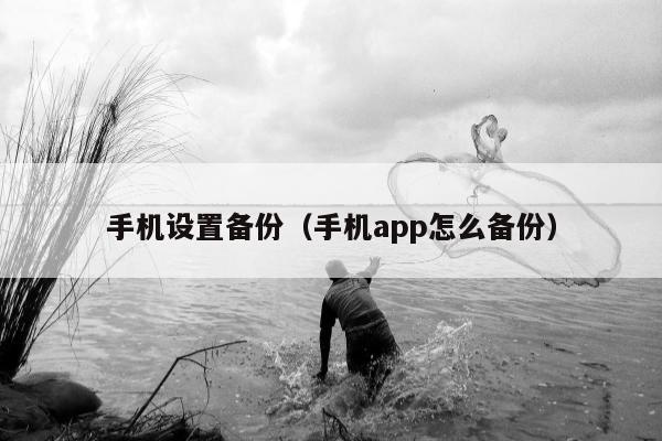 手机设置备份（手机app怎么备份）