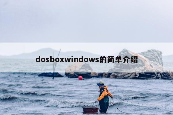 dosboxwindows的简单介绍