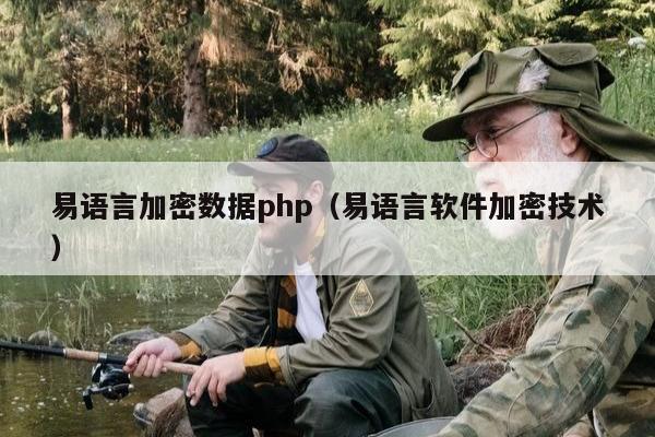 易语言加密数据php（易语言软件加密技术）