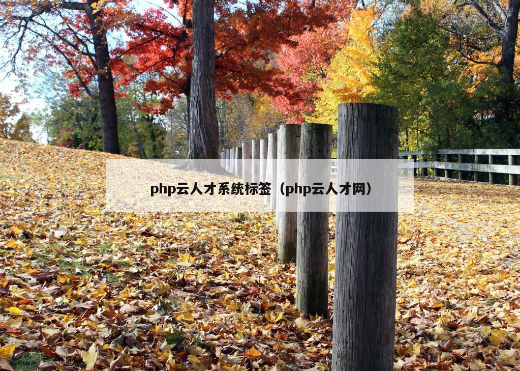 php云人才系统标签（php云人才网）