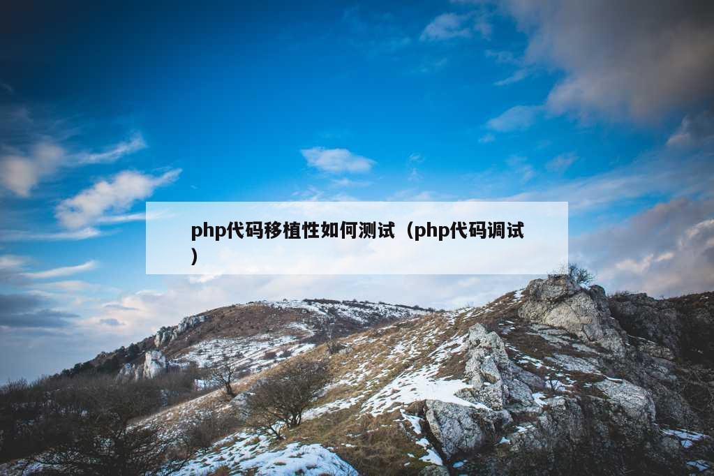 php代码移植性如何测试（php代码调试）