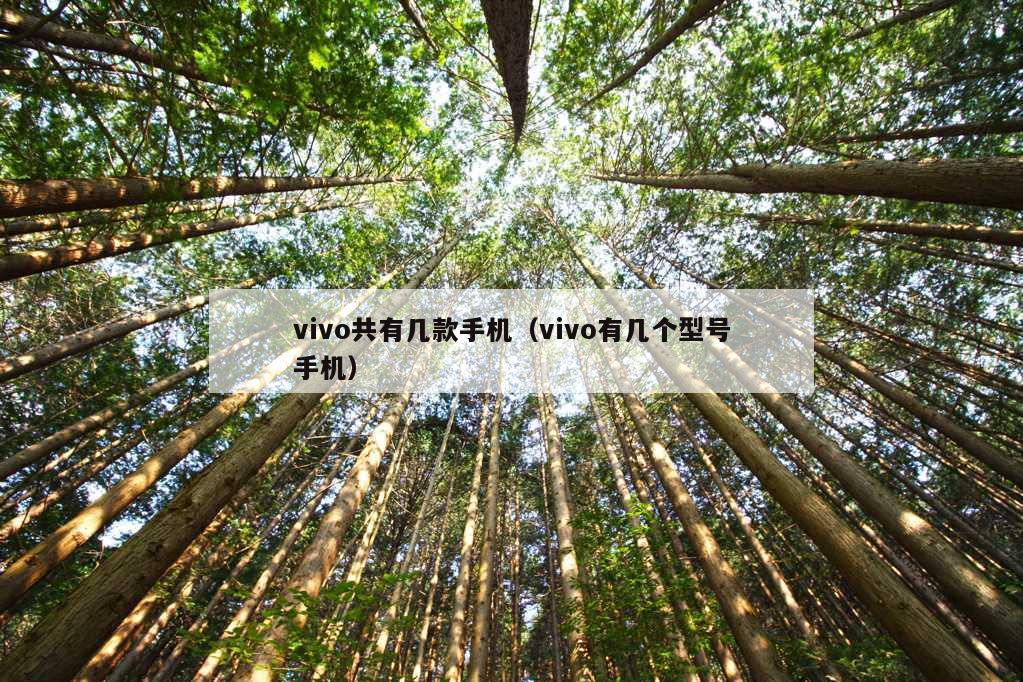 vivo共有几款手机（vivo有几个型号手机）