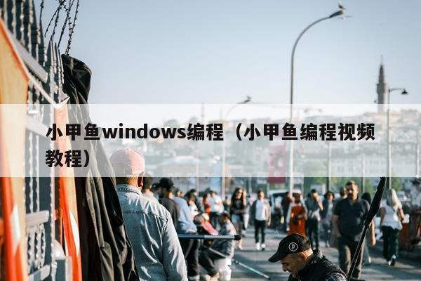 小甲鱼windows编程（小甲鱼编程视频教程）