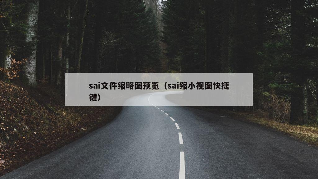 sai文件缩略图预览（sai缩小视图快捷键）