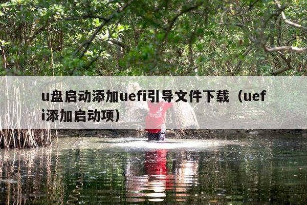 u盘启动添加uefi引导文件下载（uefi添加启动项）