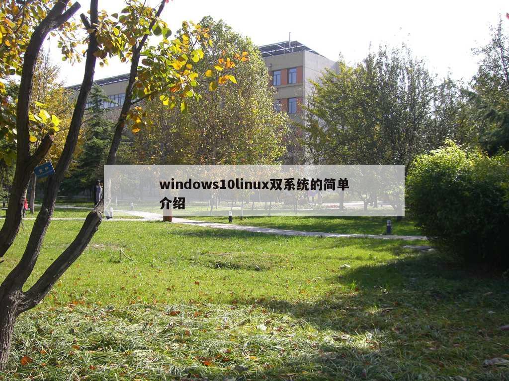 windows10linux双系统的简单介绍